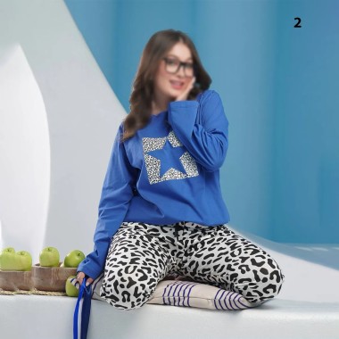 ست تیشرت شلوار زنانه نرمال سایز مدل روژبین ( یشیم ) 2